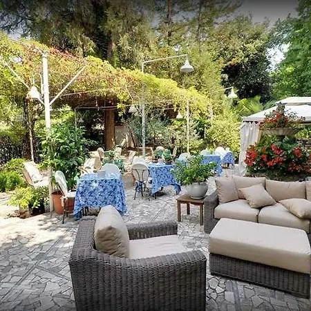 Hotel Mediterraneo 3*